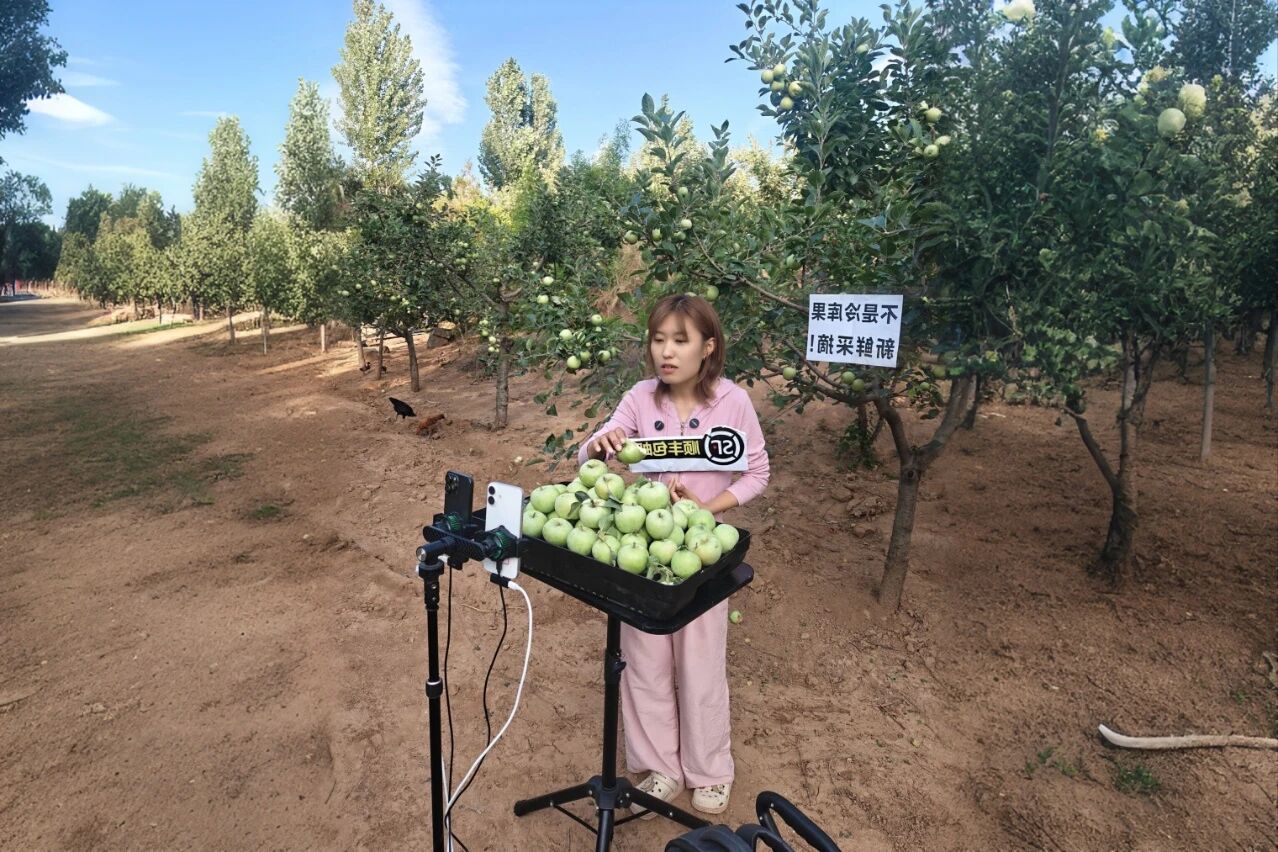 決戰(zhàn)四季度，圣家樂購雙十一全域發(fā)力促增長2
